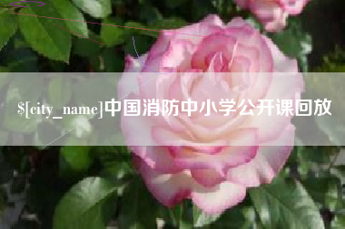山南中国消防中小学公开课回放