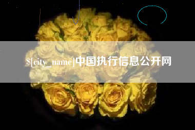 山南中国执行信息公开网