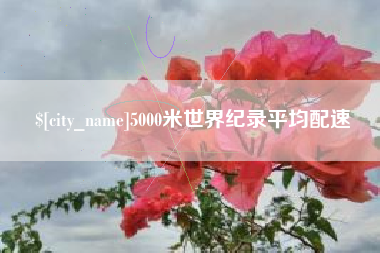 山南5000米世界纪录平均配速