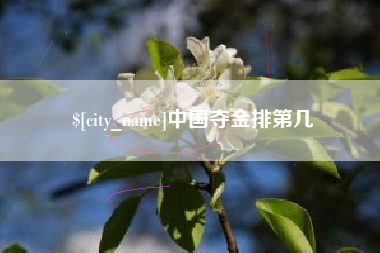山南中国夺金排第几
