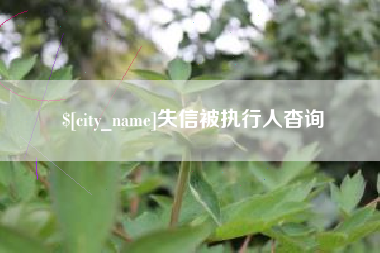 山南失信被执行人杳询