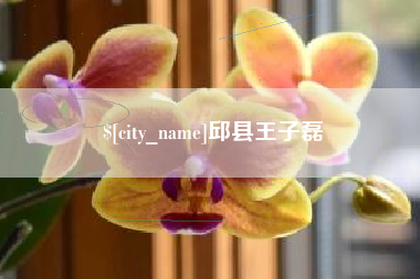 山南邱县王子磊