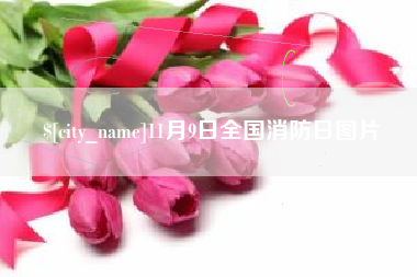 山南11月9日全国消防日图片