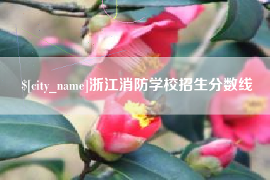 山南浙江消防学校招生分数线