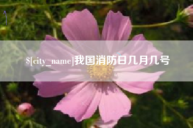 山南我国消防日几月几号