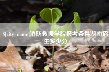 山南消防救援学院报考条件湖南招生多少分