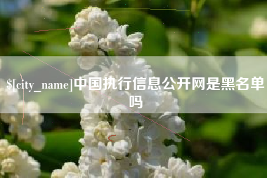 山南中国执行信息公开网是黑名单吗