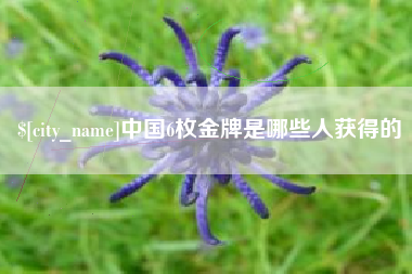 山南中国6枚金牌是哪些人获得的