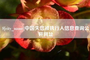 山南中国失信被执行人信息查询公开网址