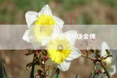 山南奥运会39块金牌