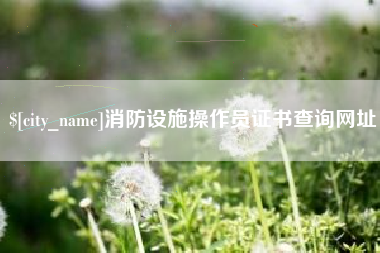 山南消防设施操作员证书查询网址