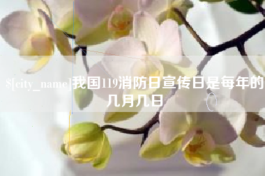 山南我国119消防日宣传日是每年的几月几日