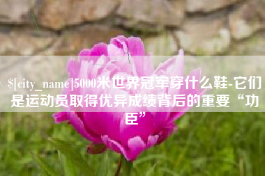 山南5000米世界冠军穿什么鞋-它们是运动员取得优异成绩背后的重要“功臣”