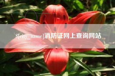 山南消防证网上查询网站