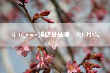山南消防日是哪一天11月9号