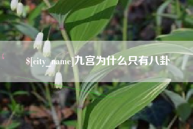 山南九宫为什么只有八卦
