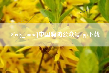 山南中国消防公众号app下载