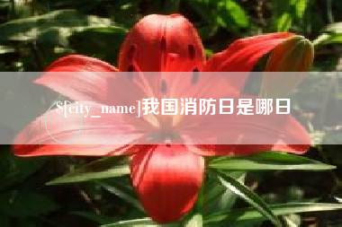 山南我国消防日是哪日