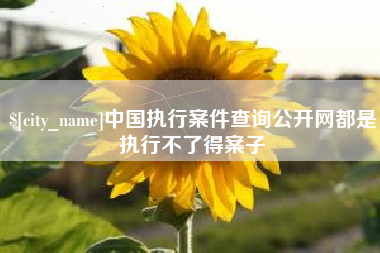 山南中国执行案件查询公开网都是执行不了得案子