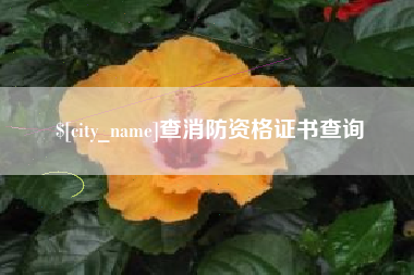 山南查消防资格证书查询