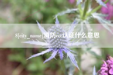 山南消防ccc认证什么意思