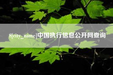 山南中国执行信息公开网查询