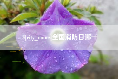 山南全国消防日哪一