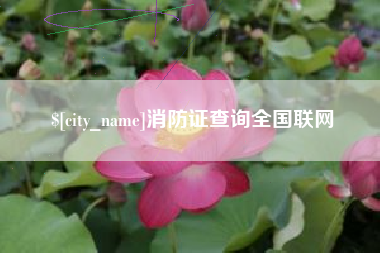 山南消防证查询全国联网