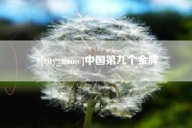 山南中国第九个金牌