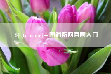 山南中国消防网官网入口