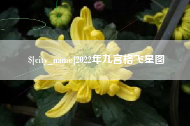 山南2022年九宫格飞星图