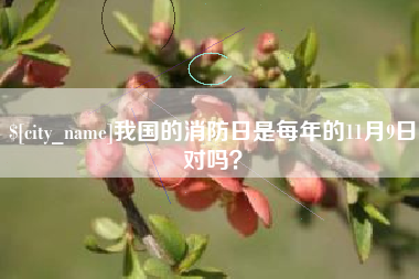 山南我国的消防日是每年的11月9日对吗？