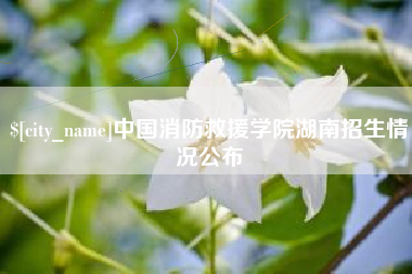 山南中国消防救援学院湖南招生情况公布