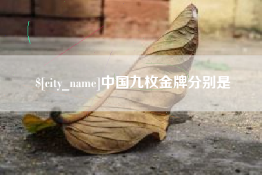 山南中国九枚金牌分别是