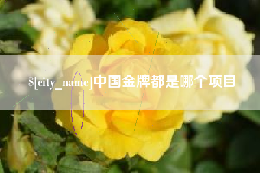 山南中国金牌都是哪个项目