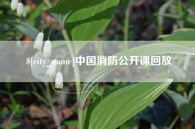 山南中国消防公开课回放