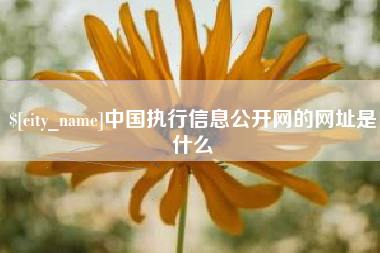 山南中国执行信息公开网的网址是什么