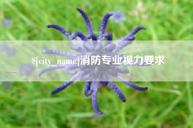 山南消防专业视力要求