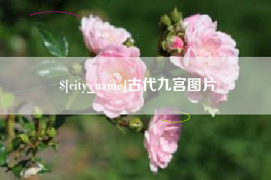 山南古代九宫图片