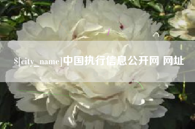 山南中国执行信息公开网 网址