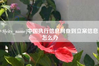 山南中国执行信息网查到立案信息怎么办