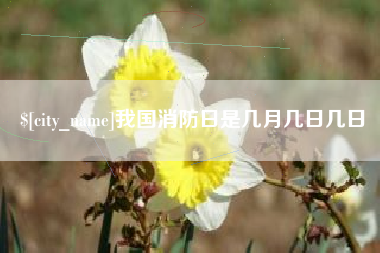 山南我国消防日是几月几日几日