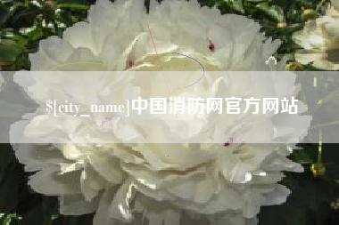 山南中国消防网官方网站
