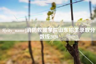 山南消防救援学院山东招生录取分数线2020