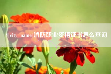 山南消防职业资格证书怎么查询