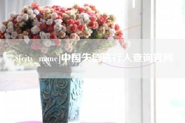 山南中国失信执行人查询官网