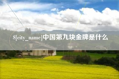 山南中国第九块金牌是什么