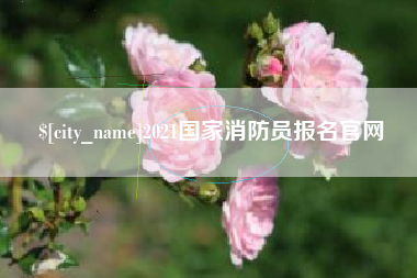 山南2021国家消防员报名官网