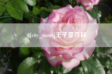 山南王子豪百科