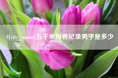 山南五千米世界纪录男子是多少